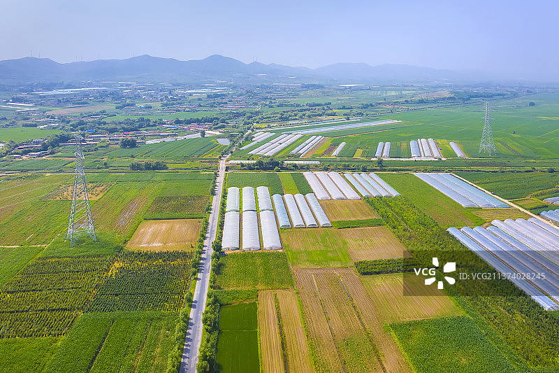 辽宁大连瓦房店稻田-电网铁塔-农业大棚图片素材