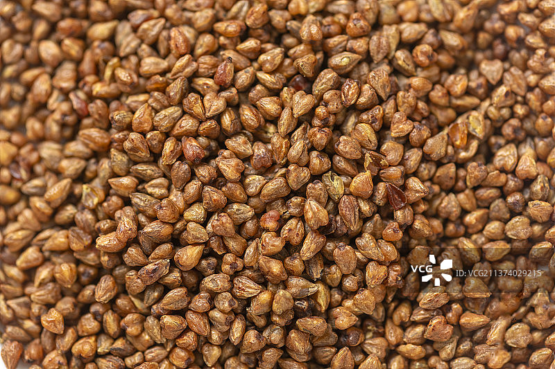 大麦茶特写白色背景图片素材