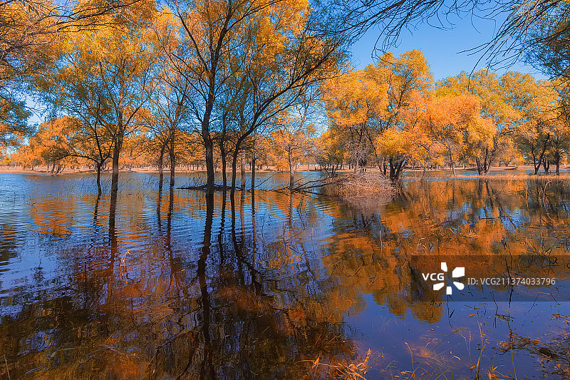 向海湿地图片素材