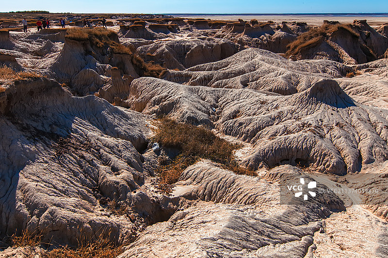 乾安泥林图片素材
