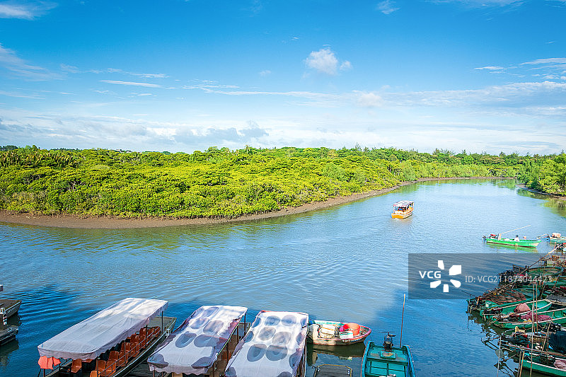 海口东寨港红树林景区图片素材