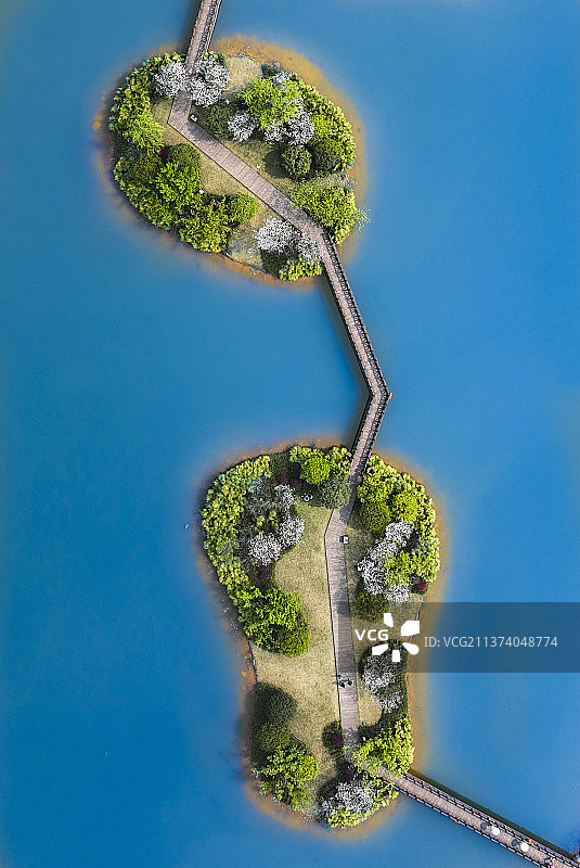 樱花园图片素材