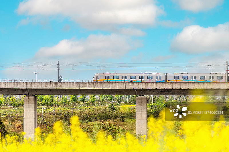 油菜花与地铁图片素材