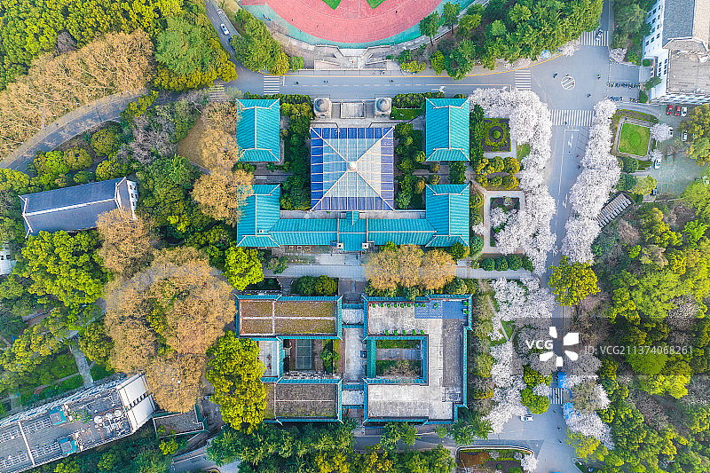 武汉大学樱花图片素材
