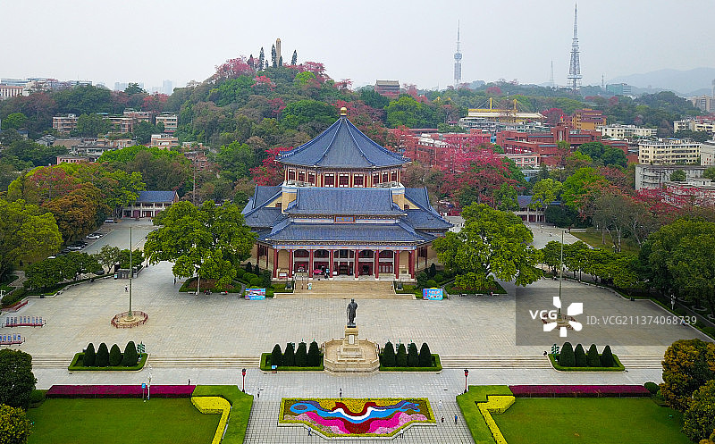 广州中山纪念堂的木棉花图片素材