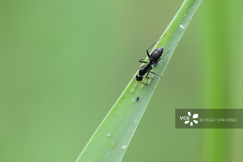 《越走路越宽》图片素材