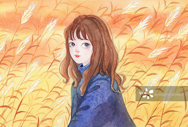 秋天的芦苇图片素材