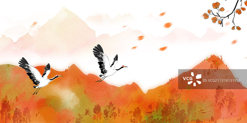 鸟在天空中飞翔的特写镜头图片素材