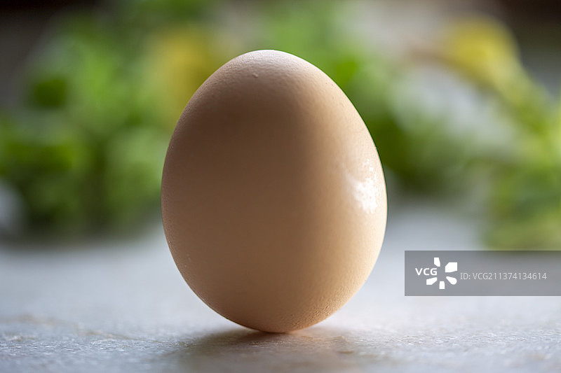 春分立蛋图片素材