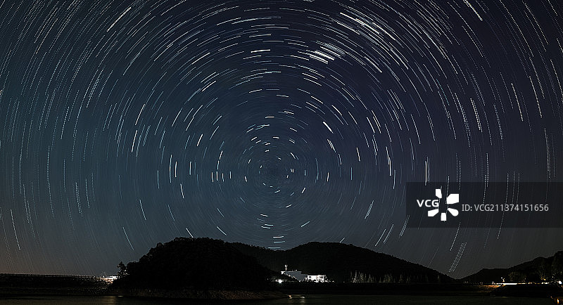 夜空中树木轮廓的低角度视图图片素材