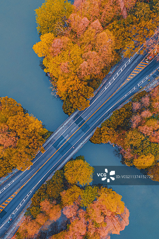 杨公堤图片素材