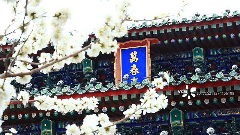 万春亭桃花图片素材