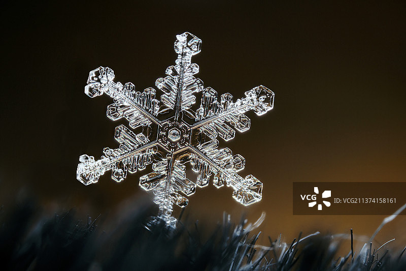 一朵美丽的雪花图片素材