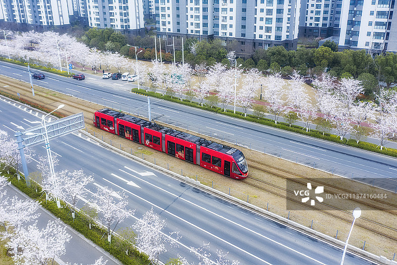 苏州新区樱花下的有轨电车图片素材