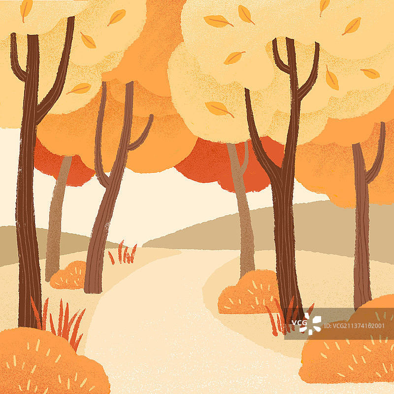 秋分秋天节气树林风景插画图片素材