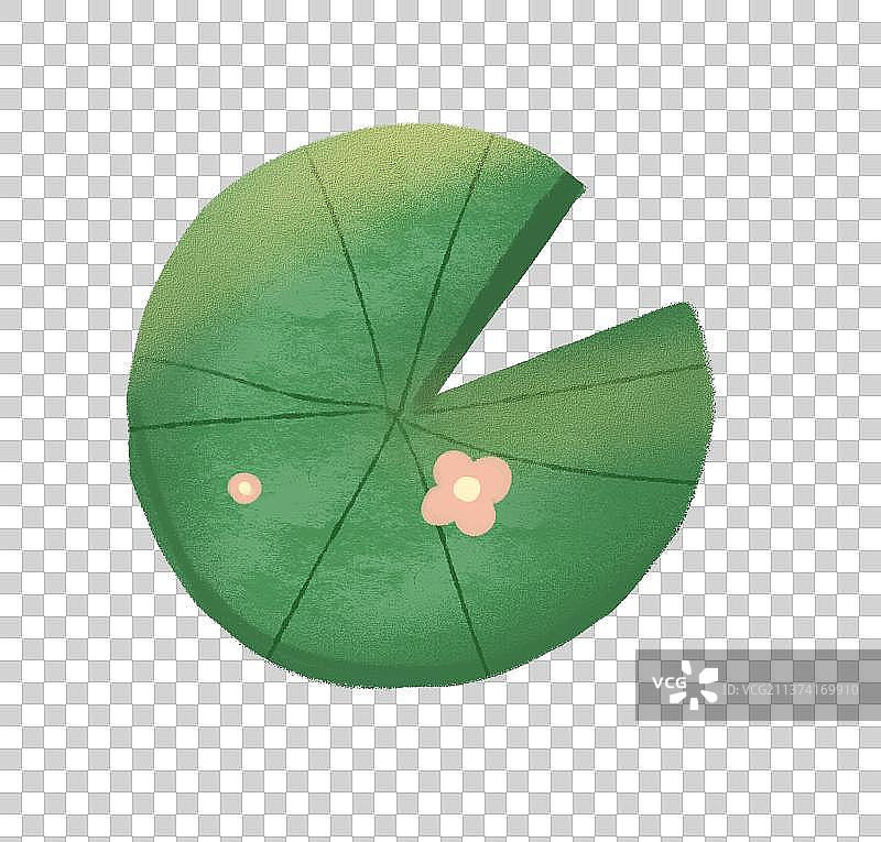 荷花图片素材