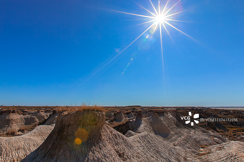 乾安泥林图片素材