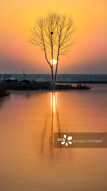 湖边的树和日出图片素材