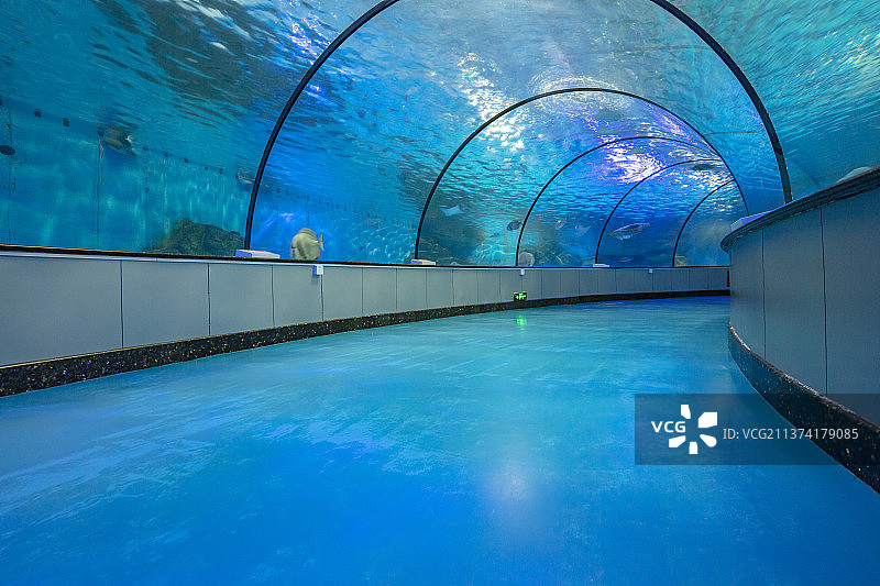 中国山东泉城海洋极地世界海底隧道图片素材