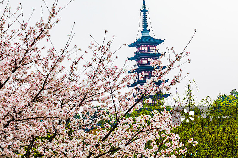 江苏苏州铜观音寺光福塔图片素材