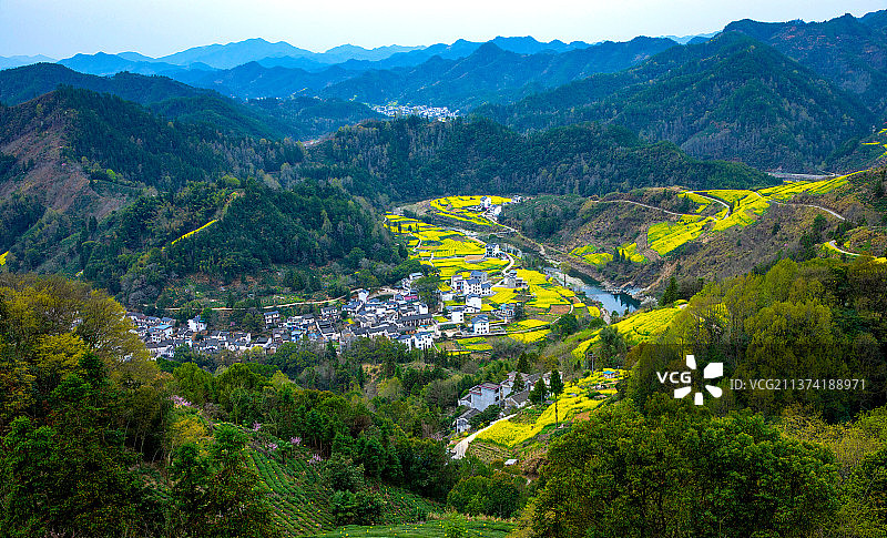 安徽黄山歙县石潭景区油菜花海风光图片素材