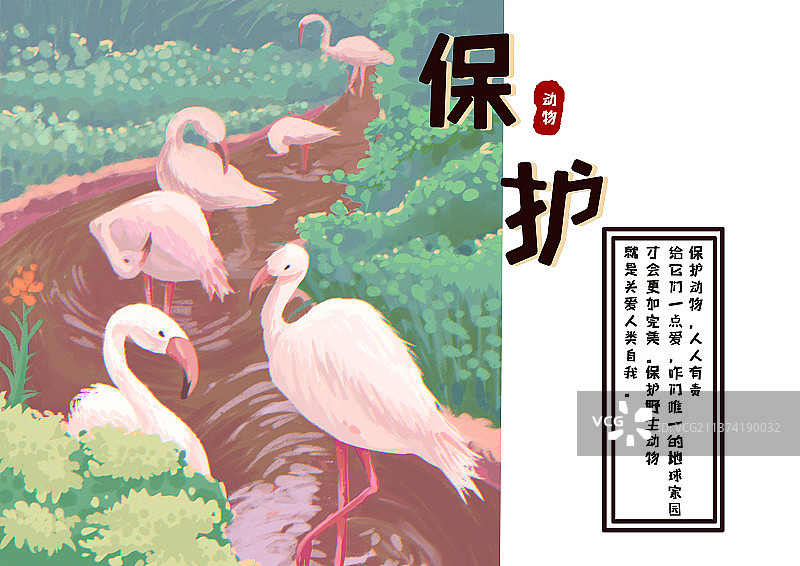 保护动物插画模板图片素材