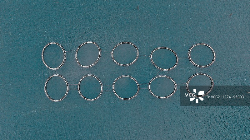 航拍海上鱼排图片素材