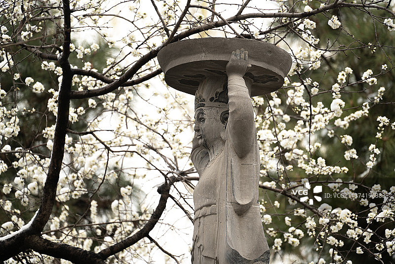 春天花丛中的圆明园承露盘图片素材