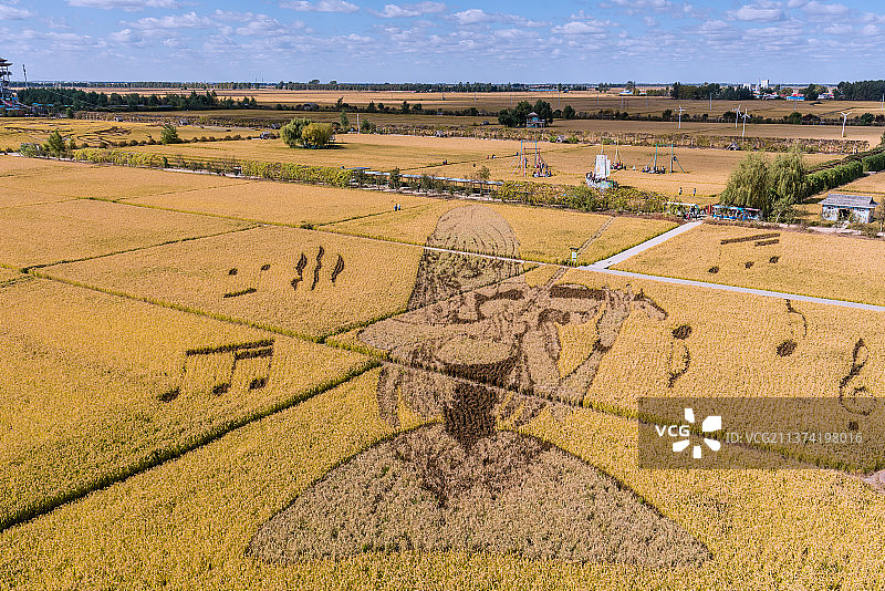 俯瞰秋天的稻田画图片素材