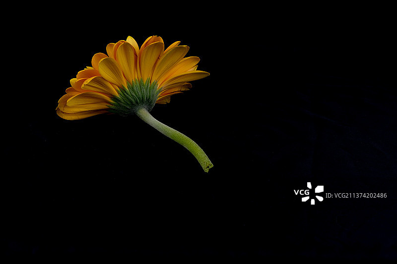 我希望不存在并漂浮在虚无中图片素材