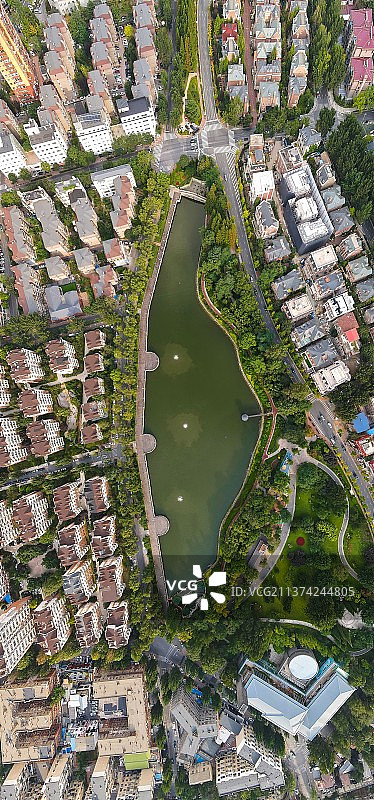 植物园 夏图片素材