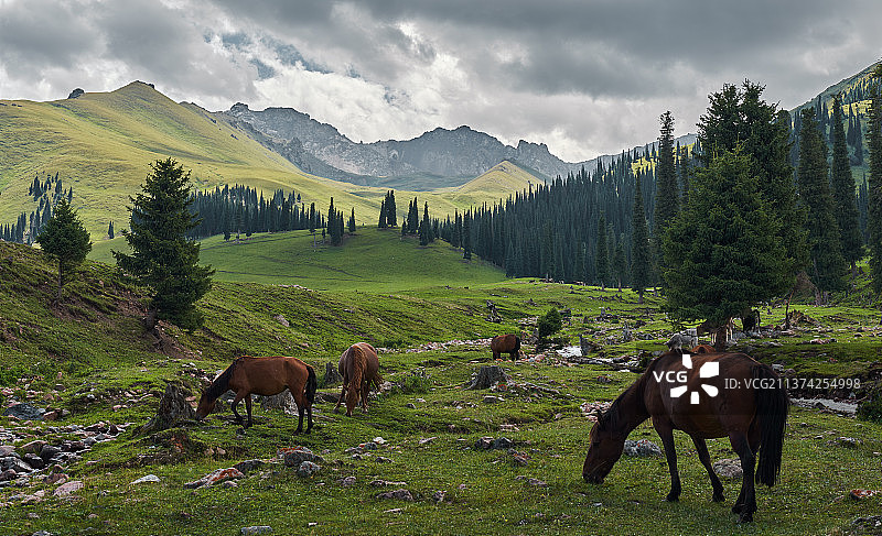 那拉提草原图片素材
