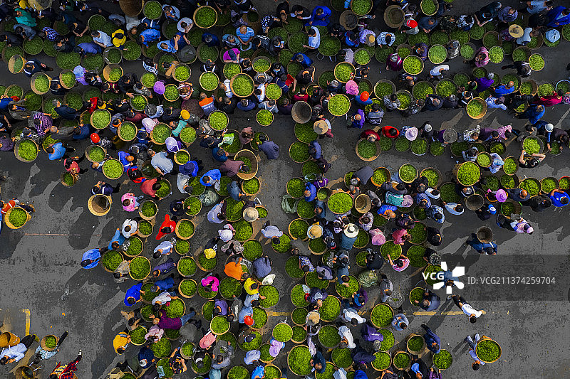 春茶市场图片素材