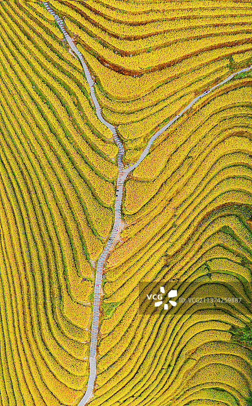 梯田图片素材