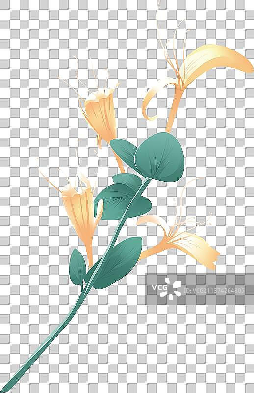 金银花图片素材