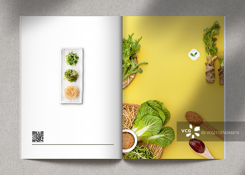 春季绿色调味品海报图片素材