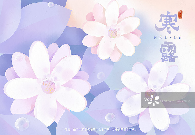 紫色寒露插画海报模板图片素材