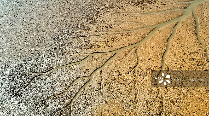 黄河入海口潮汐树图片素材