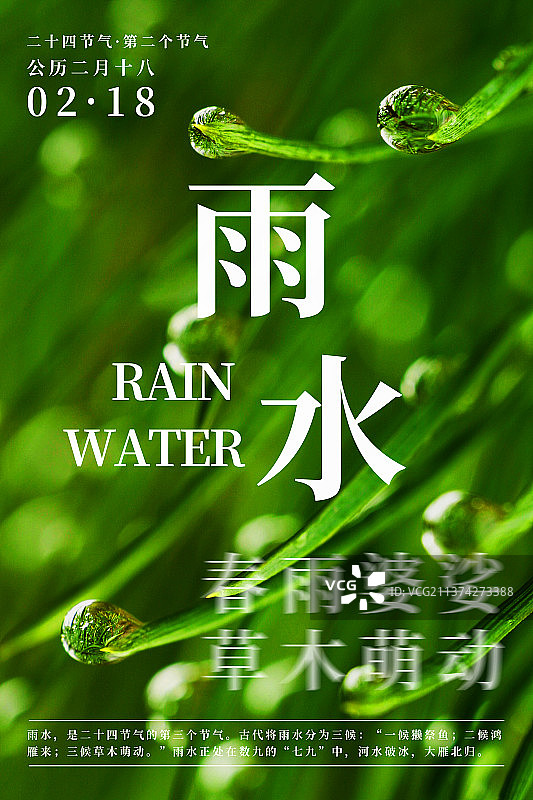 自然植物风景二十四节气海报之雨水图片素材