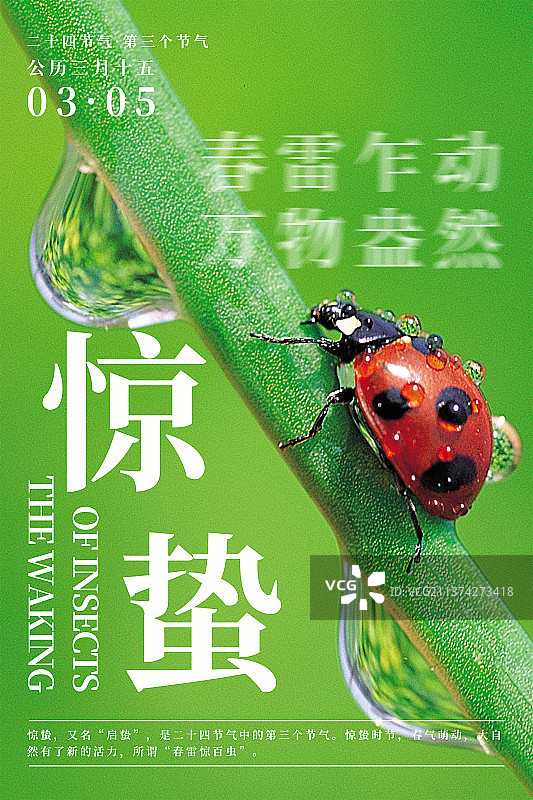 自然植物风景二十四节气海报之惊蛰图片素材