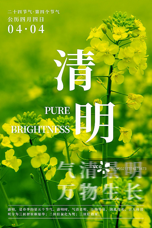 自然植物风景二十四节气海报之清明图片素材