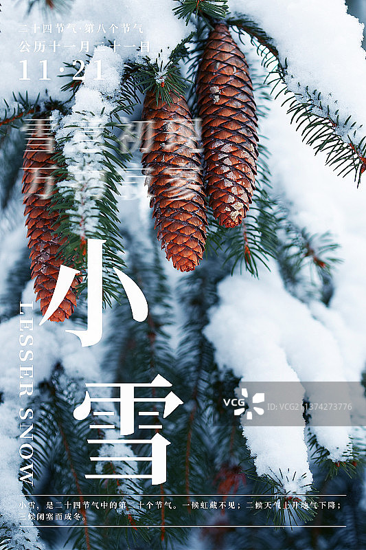 自然植物风景二十四节气海报之小雪图片素材