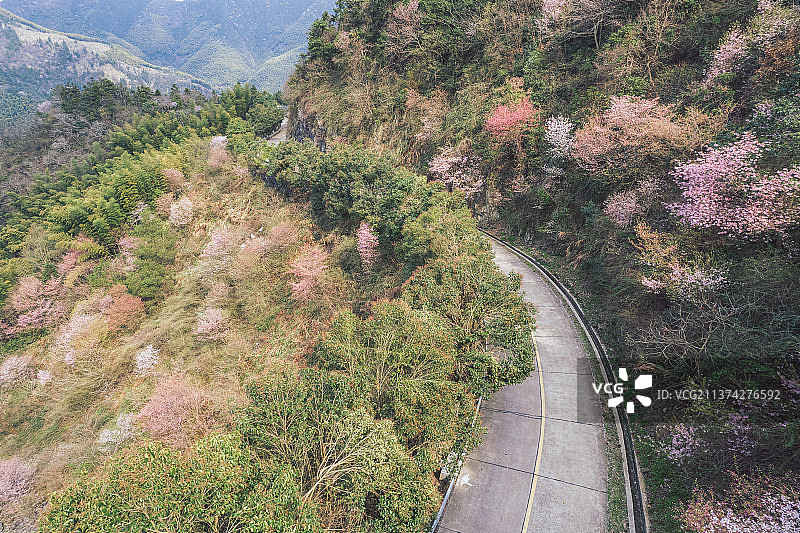 航拍建德三都镇至浦江春天山樱花盛开图片素材