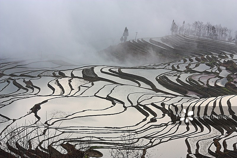 元阳梯田图片素材
