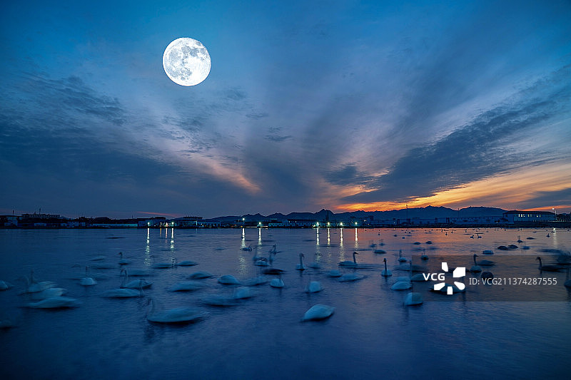 暮色精灵图片素材