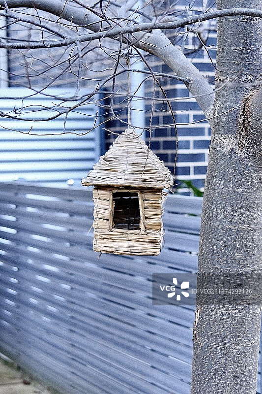 树上自制鸟舍特写图片素材
