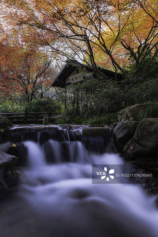 霜叶红于二月花图片素材