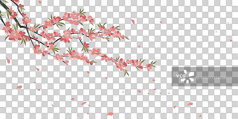 粉色桃花图片素材