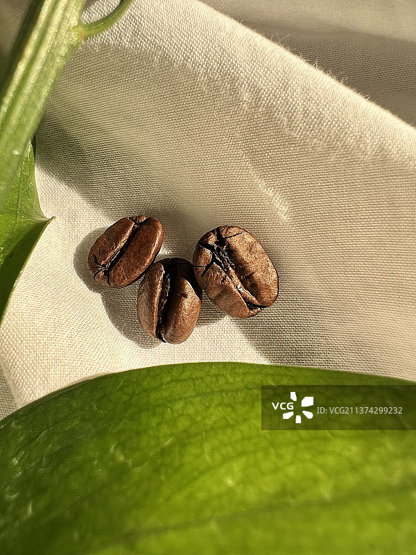 咖啡、桌子上烘焙咖啡豆的俯视图，阿曼图片素材