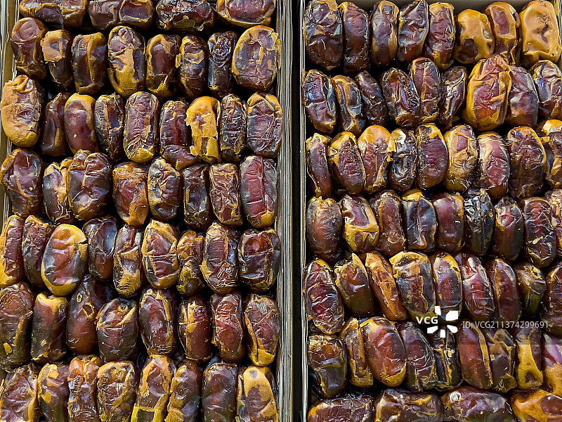 卡塔尔国际农业与环境本地枣图片素材